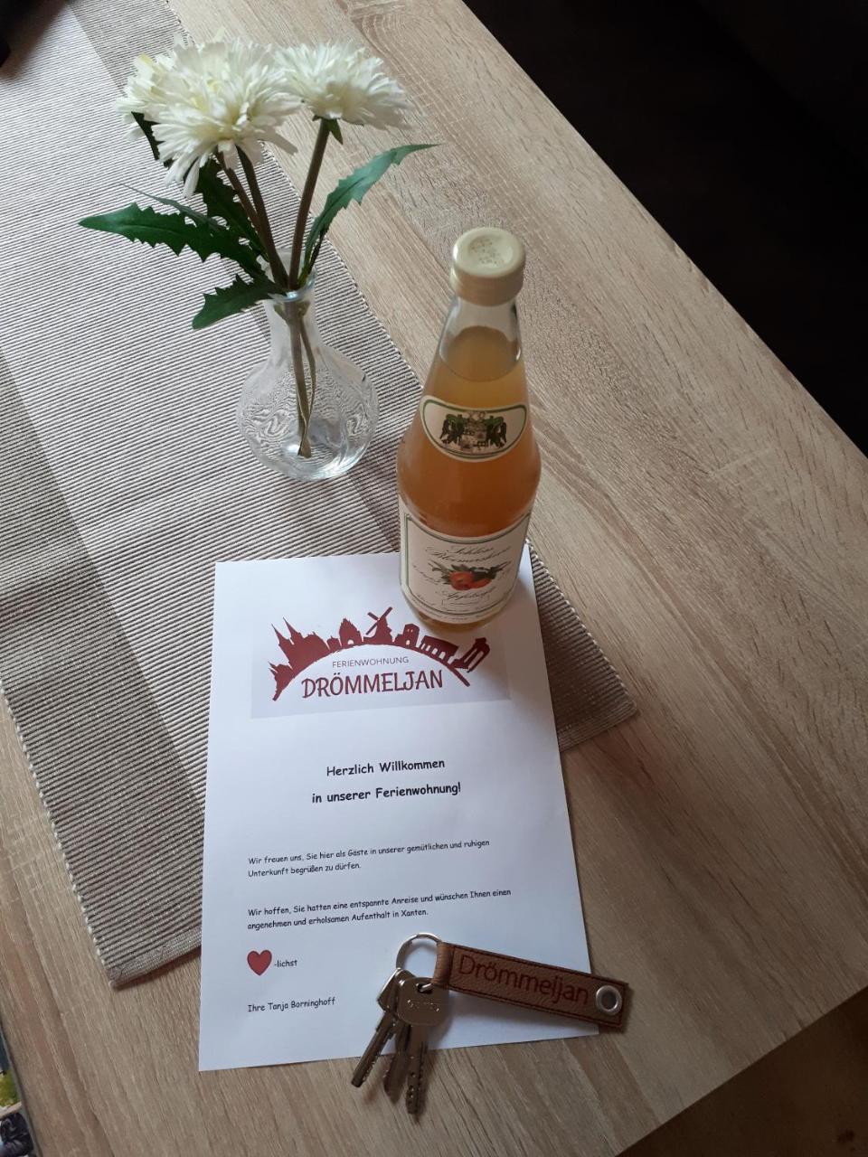 Ferienwohnung Droemmeljan Ксантен Екстериор снимка